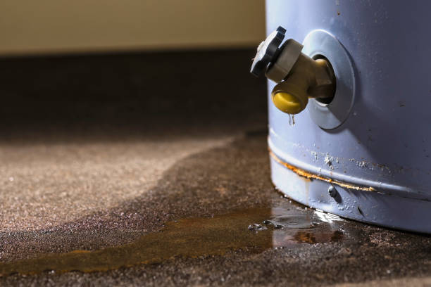 Best Flood restoration services  in Lochmoor Waterway Estates, FL