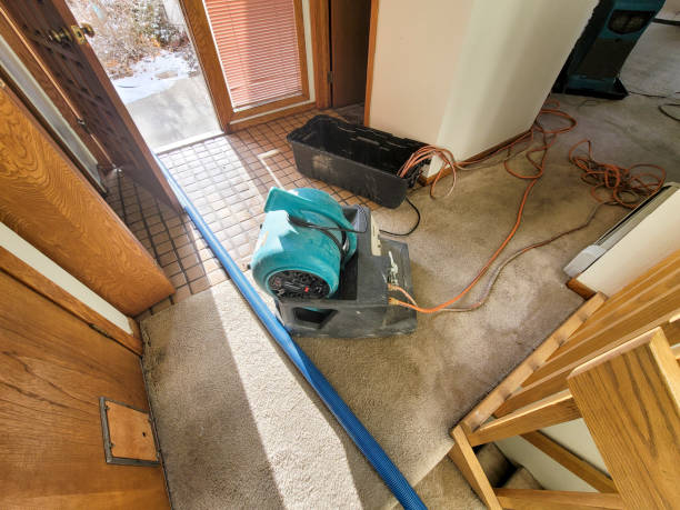 Water damage restoration mold remediation in FL
