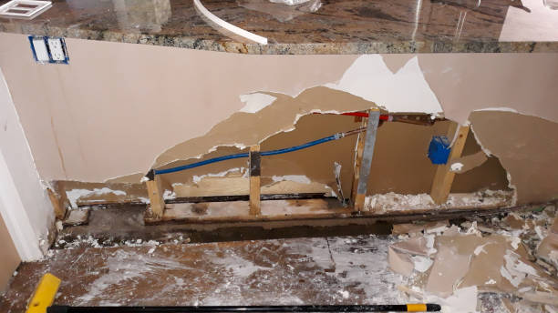 Best Mold removal after water damage  in Lochmoor Waterway Estates, FL