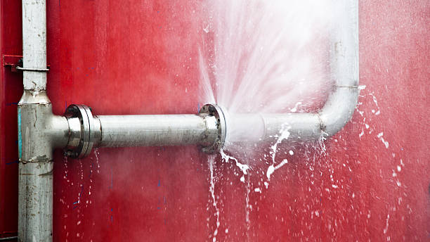 Best Water damage restoration mold remediation  in Lochmoor Waterway Estates, FL